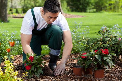 A professional gardener engaged in planting and tending to a flower bed in a well-maintained outdoor garden, featuring a neatly cut lawn, a variety of flowering plants, and a backdrop of lush green trees. The gardener, dressed in a white t-shirt and dark green overalls, is carefully handling a small red flowering plant, surrounded by several potted plants with red and green foliage. The garden layout includes a gravel or mulched flower bed with some soil visible, bordered by a lush, grassy lawn. The scene is set outdoors on a bright, possibly sunny day, with natural light highlighting the vibrant colours and healthy appearance of the plants, supporting experts in gardening, lawn care, and landscaping services in Mayfair or nearby areas of central London.