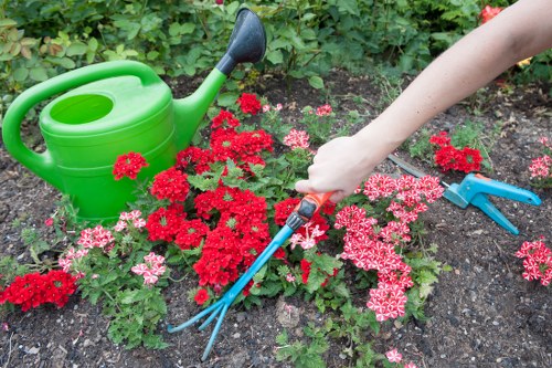 Team of experts providing lawn care services in Mayfair